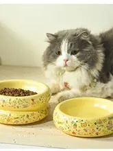 猫用陶器製高脚フードボウル【デザイン・ダブルボウル・水用・広口】
