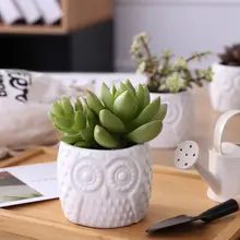 ミニチュア多肉植物用陶器花盆【白色・デスク用・シンプルデザイン】