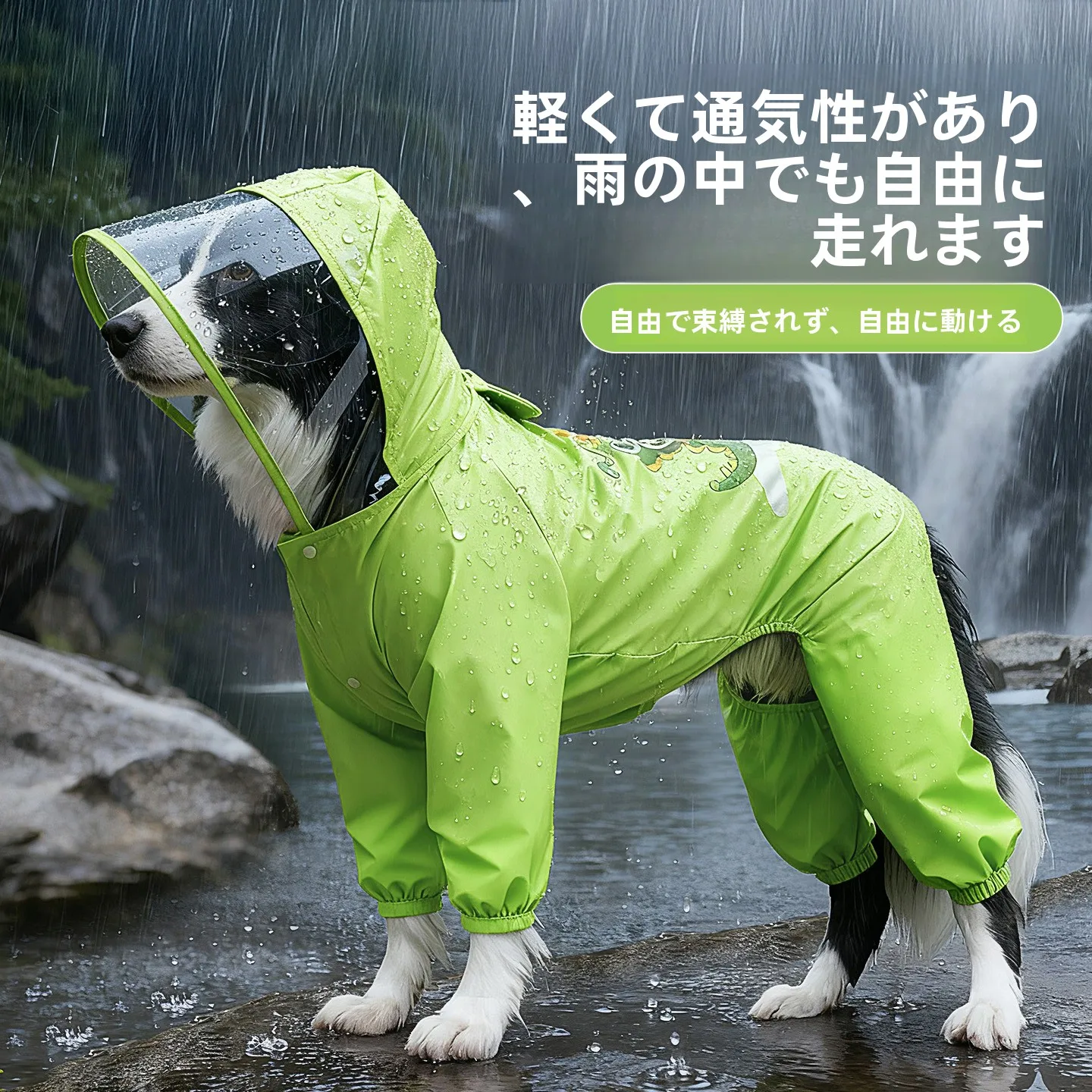 犬のお散歩グッズをコスパ良く揃える方法｜四本足フルカバーの実測ガイド