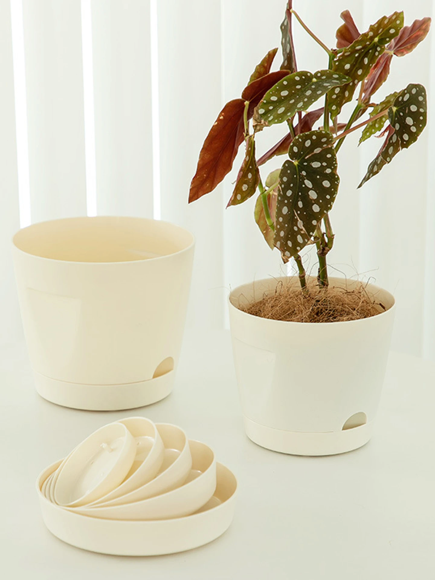 安い観葉植物用の鉢を選ぶときに迷うのは、なぜ？