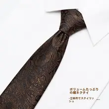 ビジネス用スーツタイ【香槟ブラウン・ジッパー式・ノー打孔・レトロデザイン・結婚式向け】