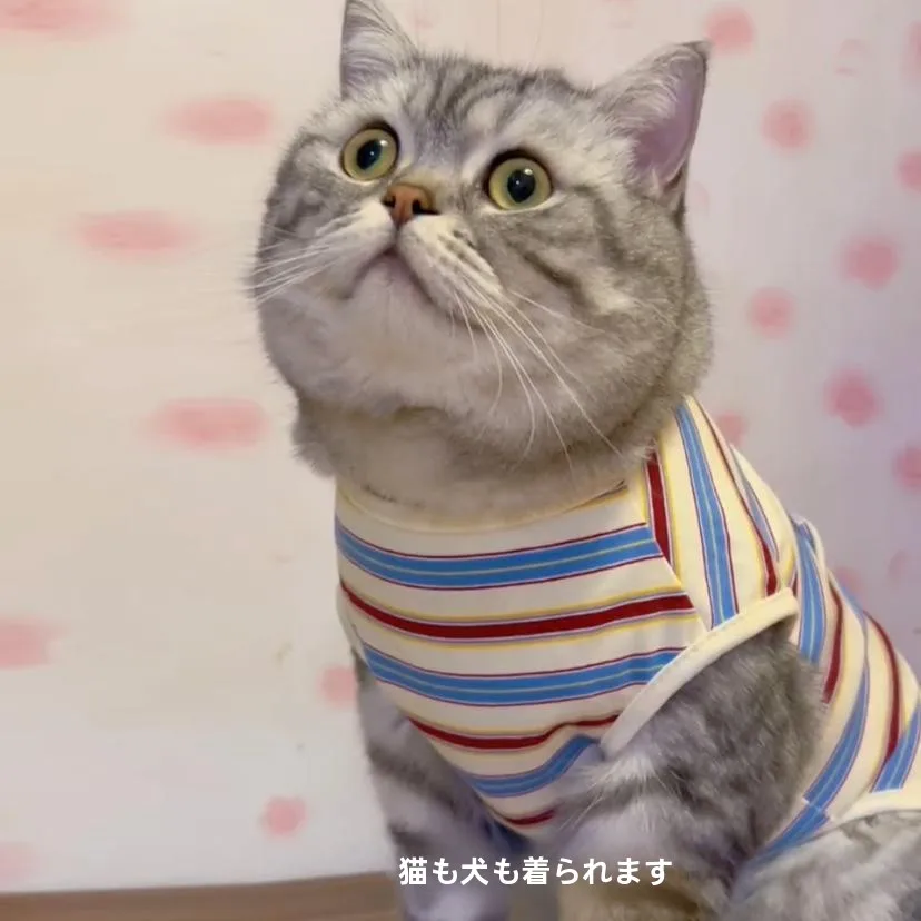 春秋用の薄手猫服：ストライプデザインで抜け毛防止と快適な着用を実現