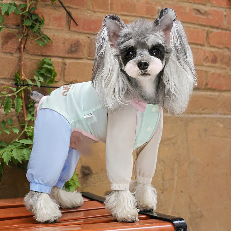 犬のお散歩グッズをコスパ良く揃える方法　完全ガイド