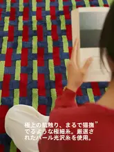 TipToe 高級ラグ【リビング・ソファ・テーブル用・軽量・洗える・ベッドサイド対応】