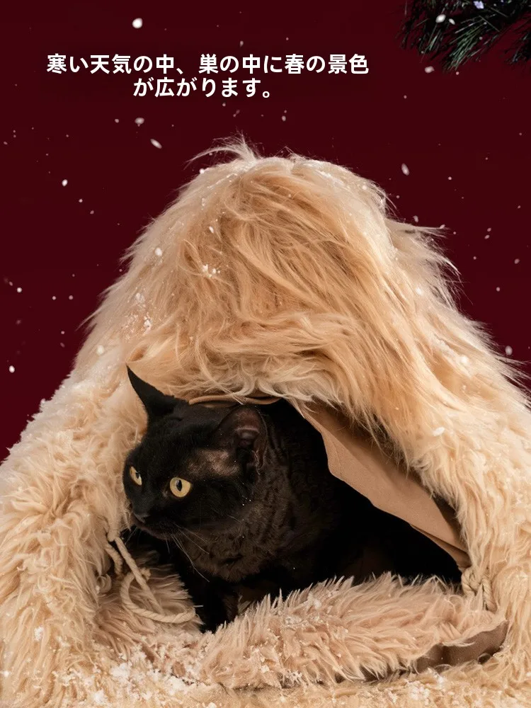 冬の寒さに負けない、猫の「温もりの家」はどんなもの？