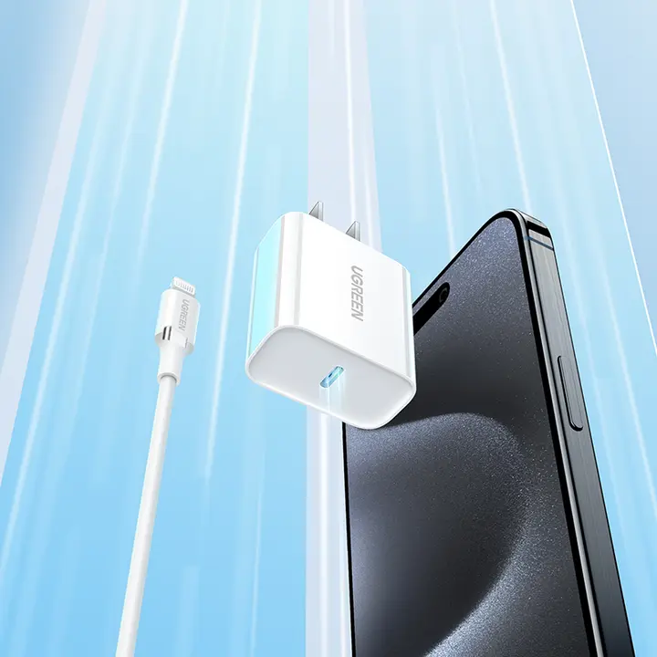 USB充電器 急速充電 30W 20W 充電ケーブル Type-C PD対応 iPhone17 16 15 14 13 12 11 iPad 対応 セット 「UGREEN」