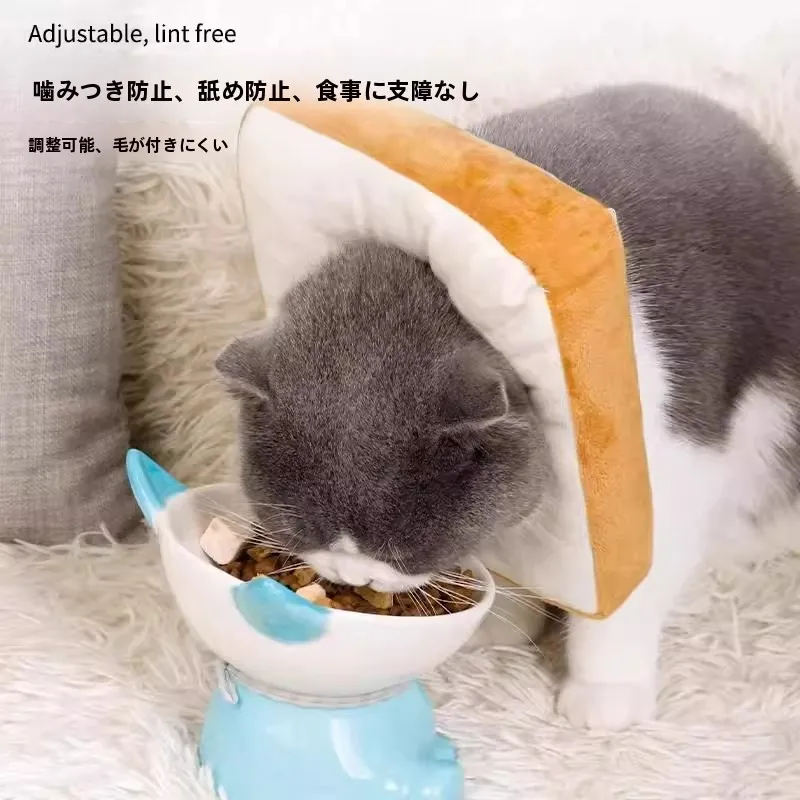 ペット用エリザベスカラー：マンションにペットを飼うための安全な保護具