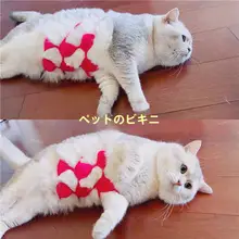 手作り毛糸猫用ビキニ【ペット用・面白いインナー・撮影小道具】