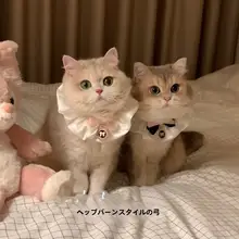 ペット用 レトロ風 スカーフ【パールリボン・レース・猫用】