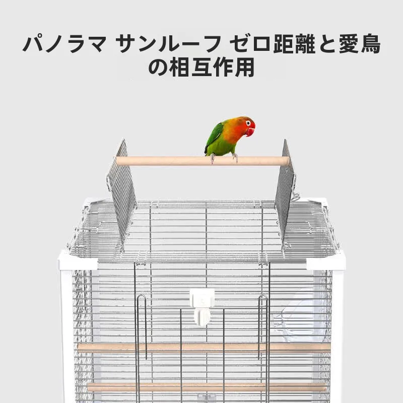 ダニの繁殖を防ぐための「家の中の小さな生態系」は、こうやって整える？