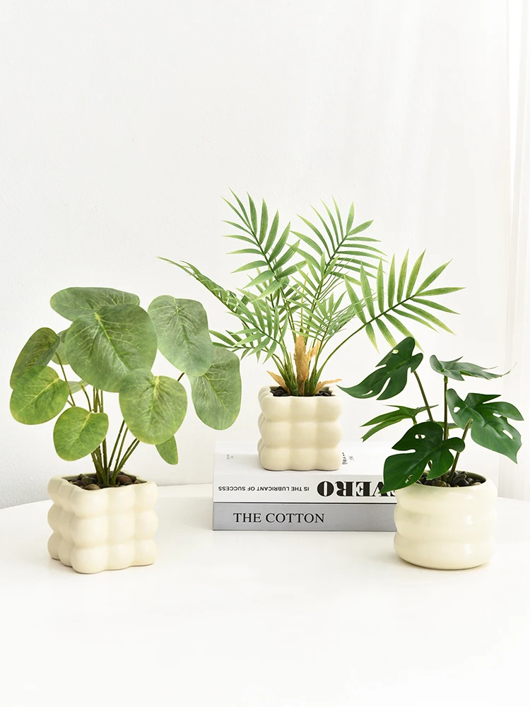 観葉植物 ザミオクルカスをどう選ぶ？リアルな造形と遊び心が融合したミニグリーンの魅力とは