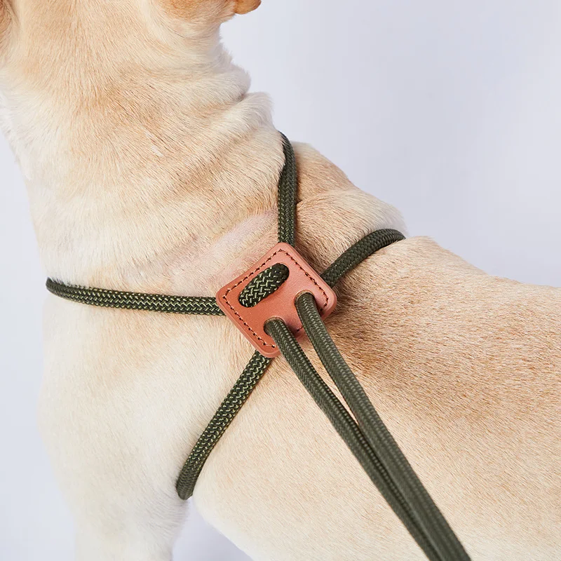 犬のお散歩グッズをコスパ良く揃える方法｜調整可能なハーネスリードで安全と自由を実現