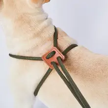 調整可能なハーネス付き犬用リード【小中大型犬用・コーギー・ボーダーコリー対応】