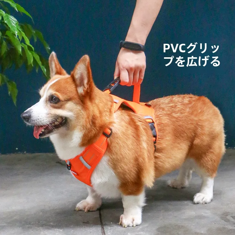 犬のお散歩グッズをコスパ良く揃える方法 - 小型犬用ハーネスリードの仕様と選定基準