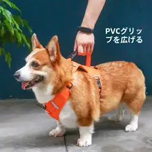 小型犬用ハーネスリード【コーギー・テディベア・幼犬対応・防爆設計】