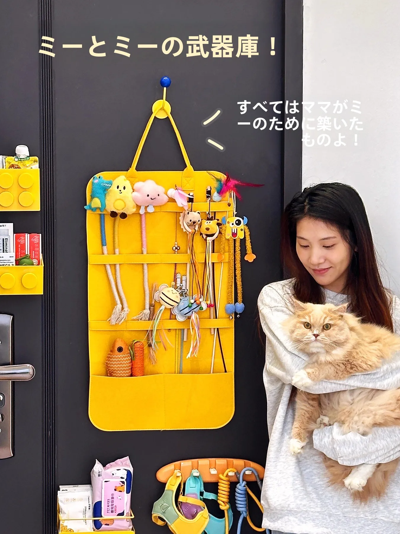 ペット用おもちゃ収納マット：壁掛け式分格デザインで室内での収納効率を最大化