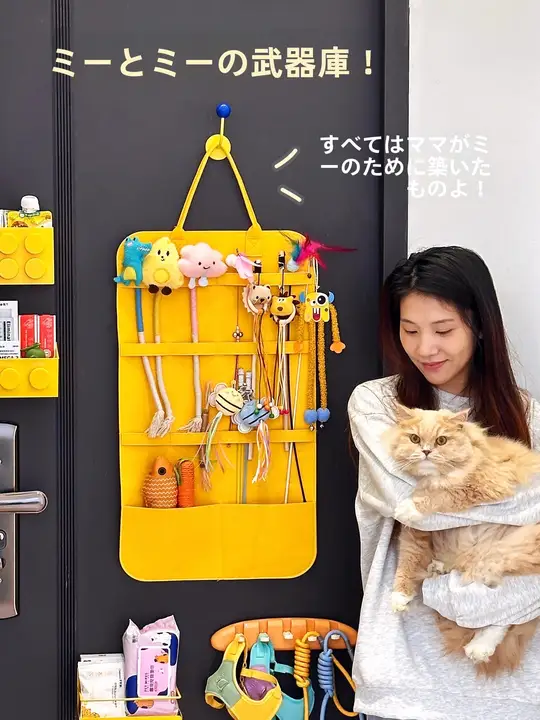 壁掛け収納ポケット フェルト 仕切り付き ドア裏 ペット用品 犬 猫 おもちゃ 猫じゃらし
