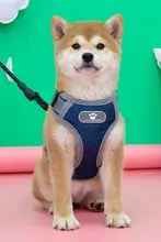 犬用ハーネスリード【中型犬対応・柴犬・胸部固定式・ペット用】