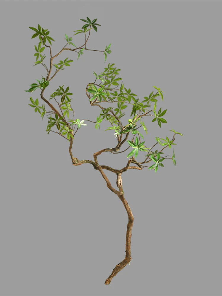 寄せ植え 室内にどんな常緑低木を設置すべき？リアルな観葉植物が静けさを生む理由