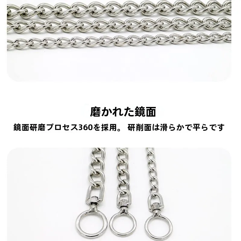 犬のお散歩グッズをコスパ良く揃える方法｜ステンレスリードの実測ガイド