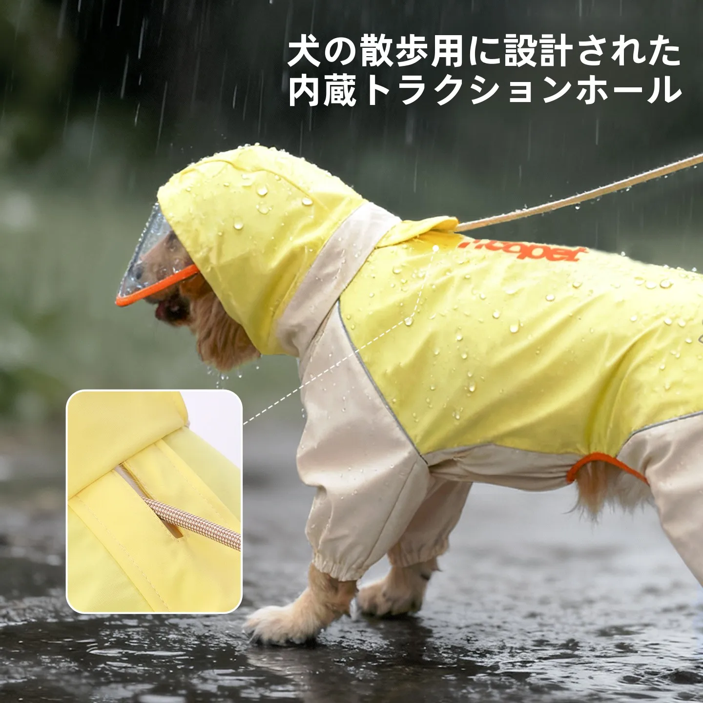 犬のお散歩グッズをコスパ良く揃える方法｜サイズ選びとタイプ別選びの完全ガイド