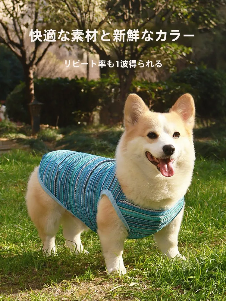 犬用衣服【春夏向け・抜け毛防止・紫外線対策・汚れ防止】の実用性と適応シーン