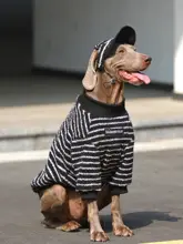 大型犬用 冬季ペットウェア【暖かい保温素材・ラブラドール・ゴールデン・ドーベルマン対応】