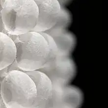 白色泡泡素材の立体的なレースデザイン布地【透視感・褶皱加工】