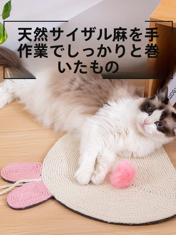 猫のいる部屋に「美しさ」と「安心」をどう入れる？