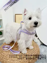 犬用 胸部ハーネスリード【防脱出・コーギー・ウエストハイランド・子犬対応】