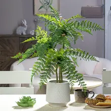 フェイクグリーンシダのミニ観葉植物【室内用・デスク飾り・グリーンインテリア】