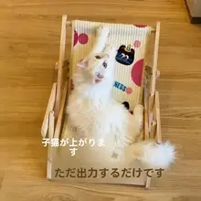 猫用チェア【麻素材・爪研ぎ機能・通年使用可能】