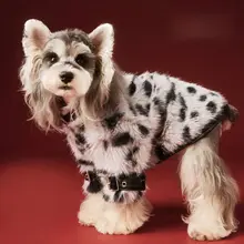 秋冬用 ペット用ファーコート【柴犬・トイプードル・ミニチュアシュナウザー・ヨークシャテリア対応】
