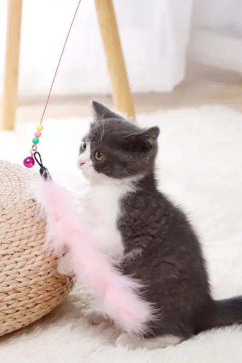 猫のおもちゃ 伸縮式フェザー付きダンシングスティック【ベル音付き・耐噛性・子猫用】