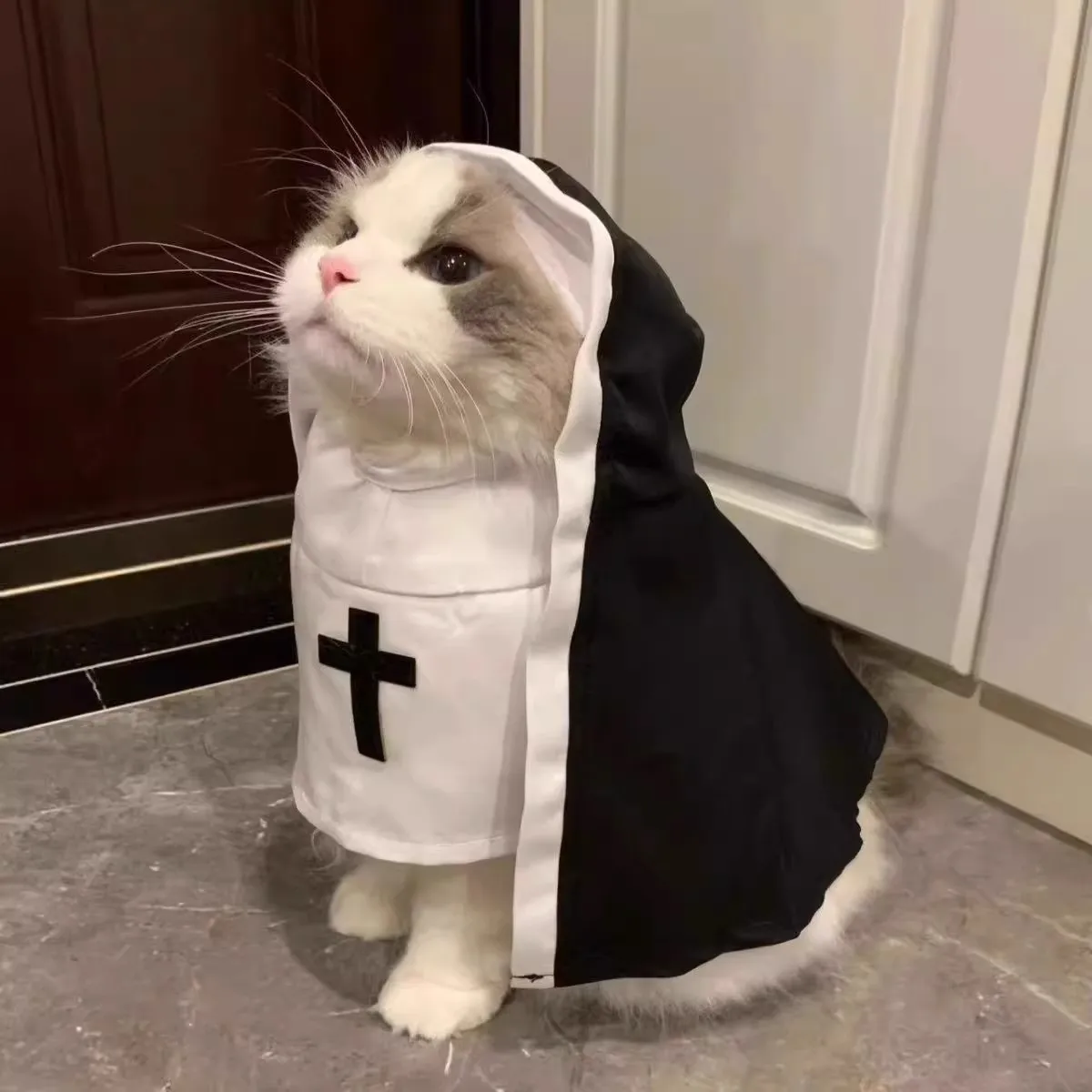 猫用 修道女衣装【ハロウィン・コスプレ・ペット用・薄手】
