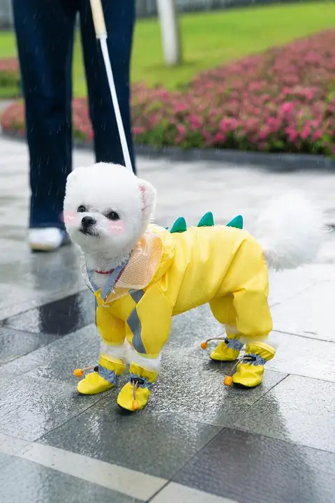 恐竜デザインの犬用レインコート【防水・全身カバー・小型犬・中型犬対応】