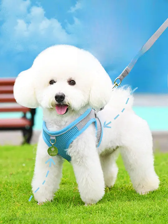 小型犬用ハーネスリード【幼犬用・引っ張り防止・パッド付き・トイプードル/Bichon Frise対応】