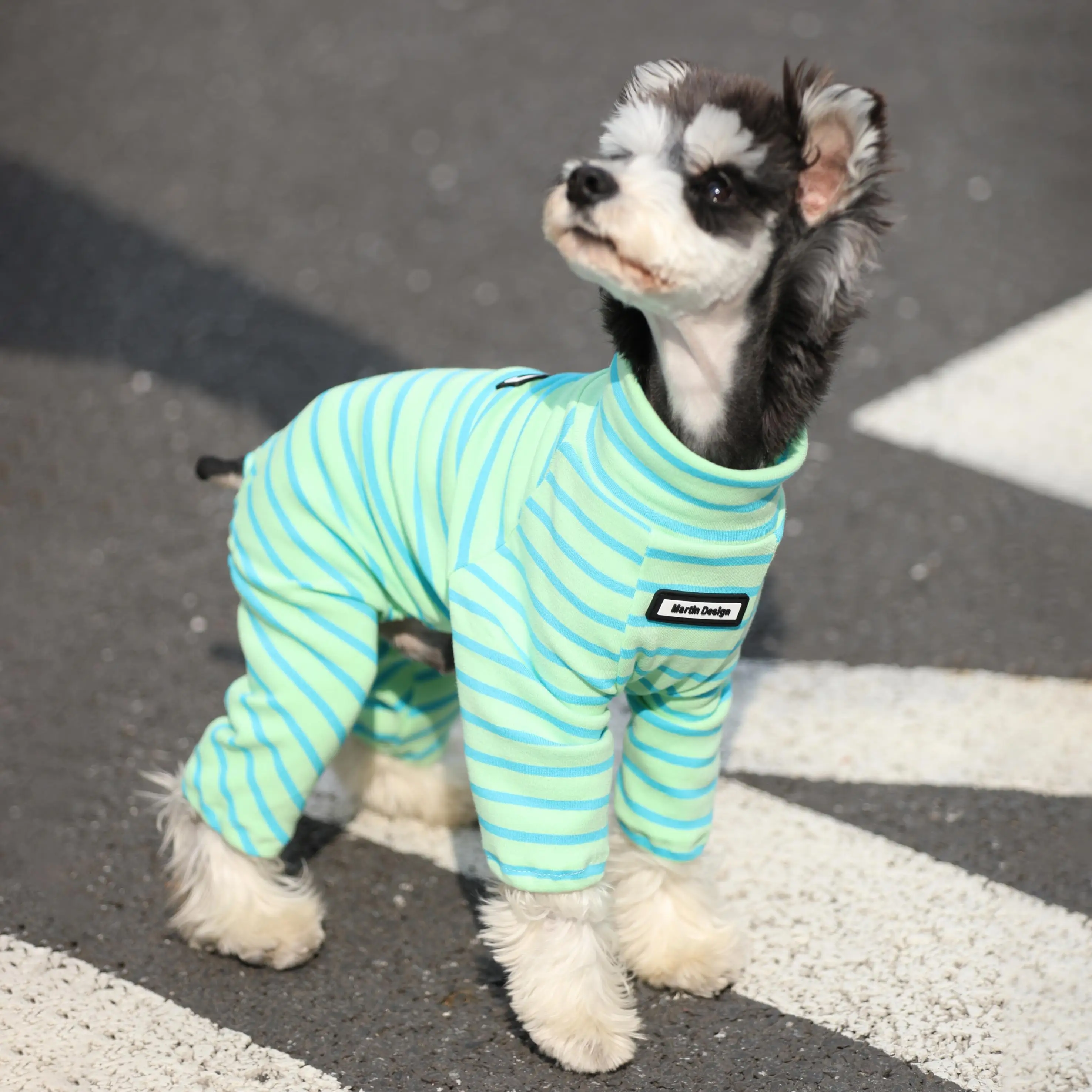 犬用秋冬棉条纹高领外套：适合小型犬的毛抜け防止实用服饰