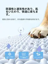 通年使用可能な防湿ペットベッド【通気性・保温クッション・離床デザイン】
