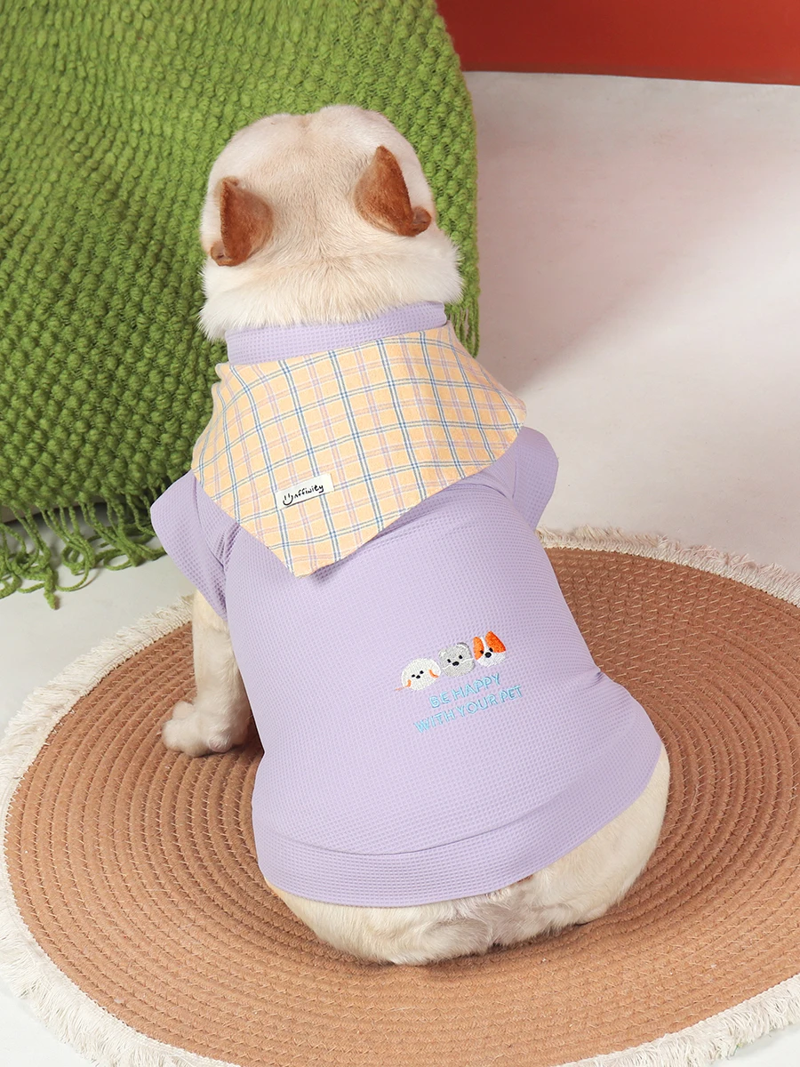 春夏用犬服：薄手可爱设计，适合柴犬与法斗的日常通勤穿搭