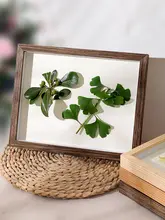 植物標本ディスプレイボックス【立体デザイン・実木製・創造的インテリア】