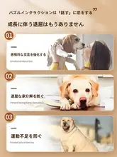 ペット用コミュニケーションボタン【犬と猫が話せる音声おもちゃ】
