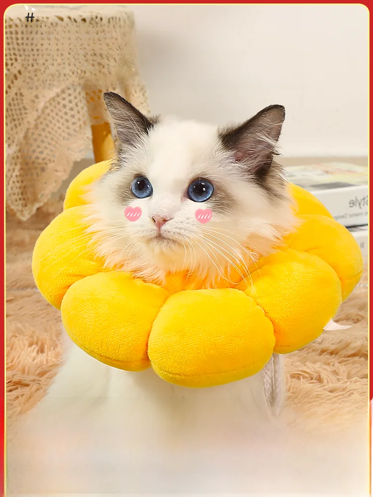 エリザベスカラー 猫用首輪【舐め防止・去勢手術後用・ペット用品】 梅雨に備えて買うべきアイテム