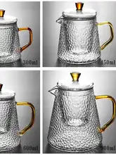 耐熱ガラス製ティーポット【透明内蔵・ステンレスフィルター・花茶用】（セットアップ対応）