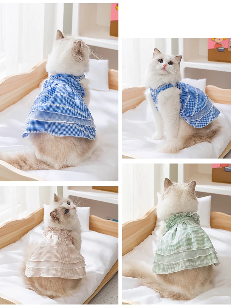 猫飼いが買ってよかったもの・悪かったもの正直に言う｜夏の快適さを実現するレースドレスの徹底解説