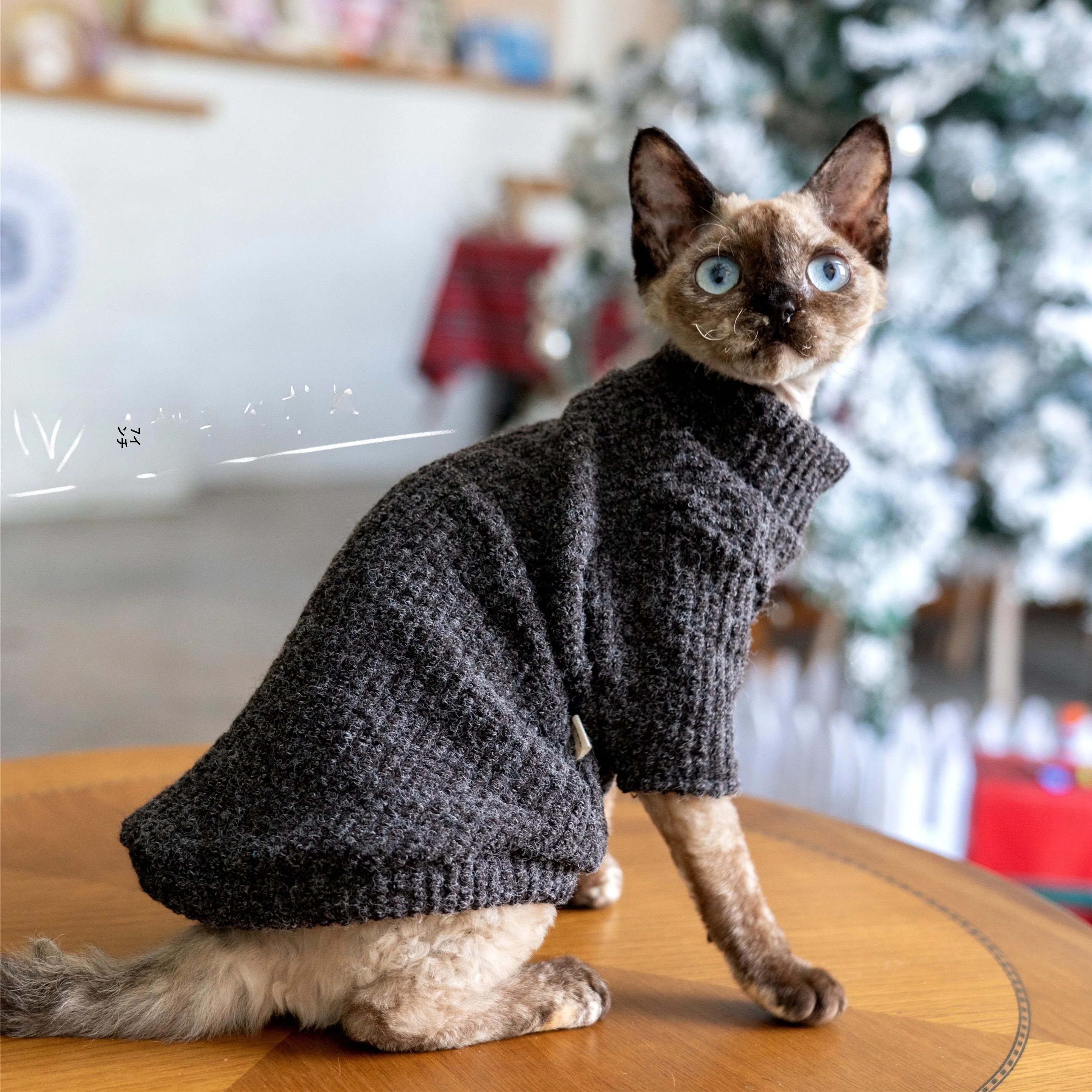 一人暮らしに適した無毛猫用セーター：秋冬の保温と耐汚れデザインを実証