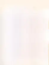 手洗い不要の回転モップ【家庭用・自動絞り機能・水切りバケツ付き】