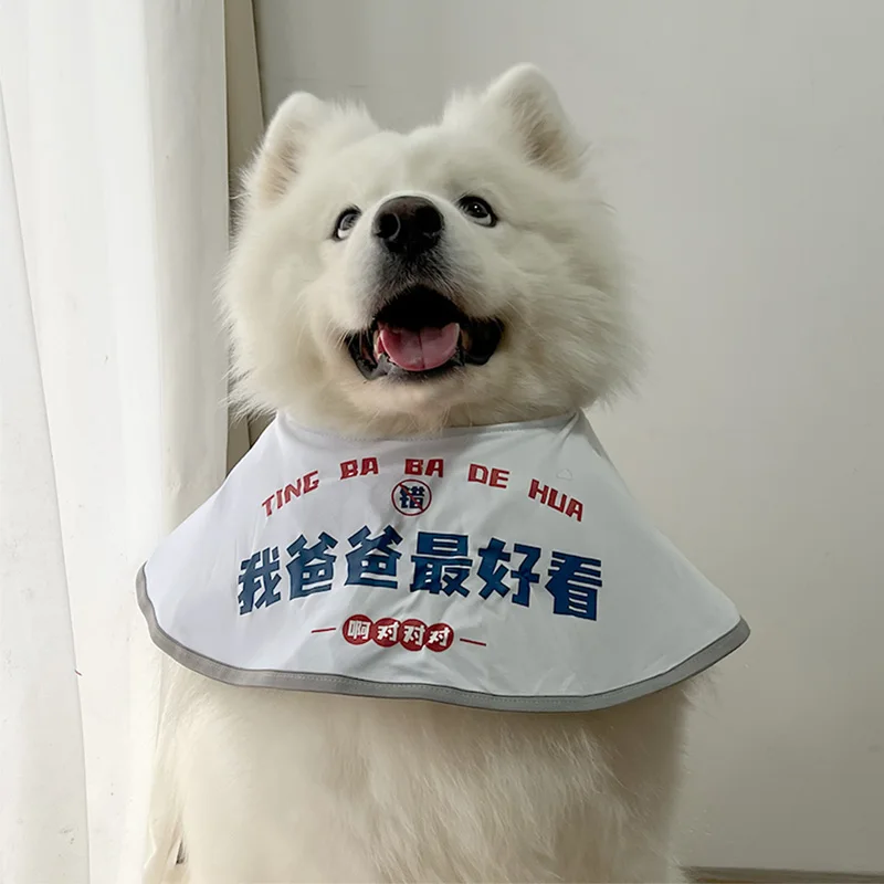介護犬の日常を彩る、どんなマナーポーチがおすすめなの？