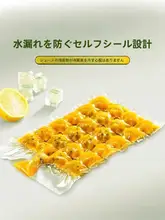 使い捨てアイスバッグ【食用・自封口・家庭用・氷製氷型】