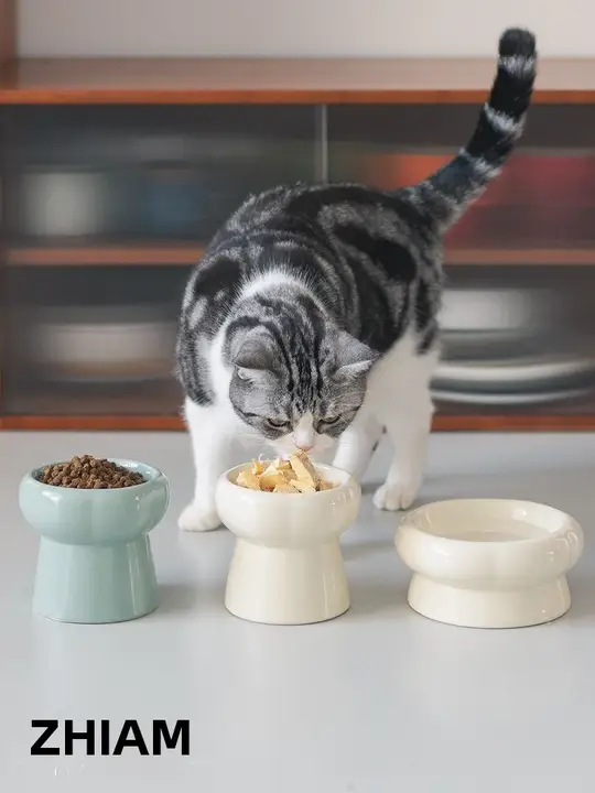 高脚陶器製ペットボウル【猫用・食器・水飲み・フードボウル】